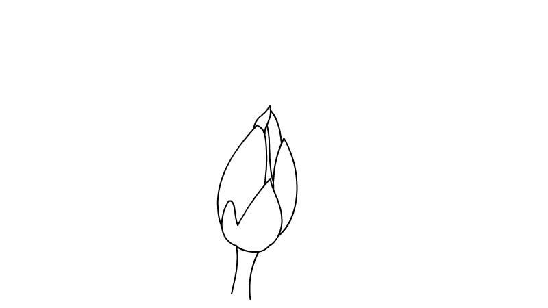 古诗配图简笔画