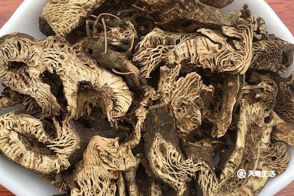 广升麻的功效与作用